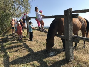 Prázdninový Ostrůvek - příměstský tábor pro předškoláky 5-8 let,